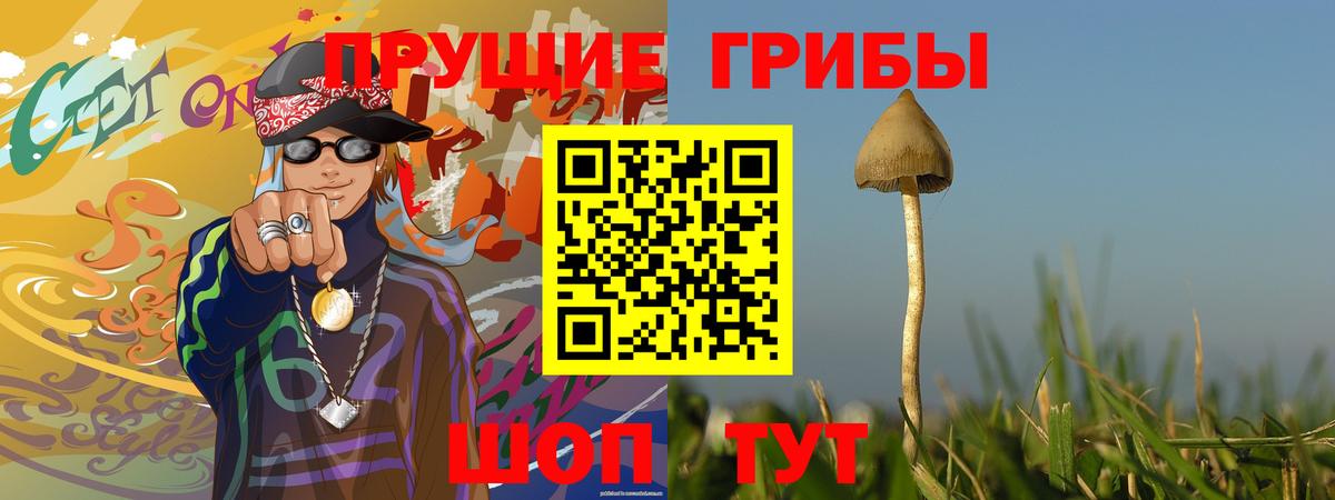 Псилоцибиновые грибы Psilocybine cubensis  Псилоцибиновые грибы GOLDEN TEACHER  Артёмовский  даркнет сайт  Вход с VPN 